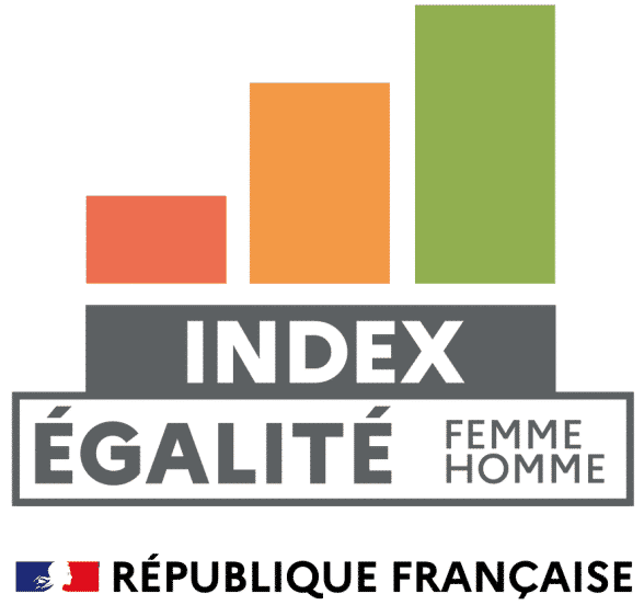 professional gender equality index