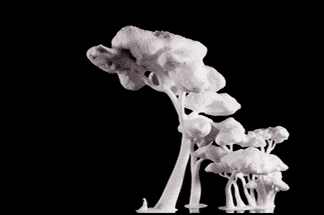 3d-druck