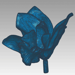 numerisation acquisition scan3d fleur retroconception