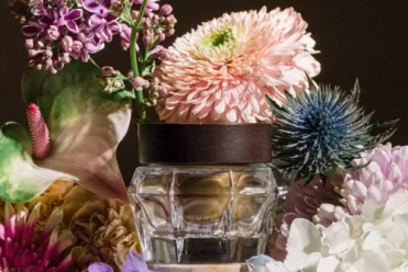 cosmétique hyléria 